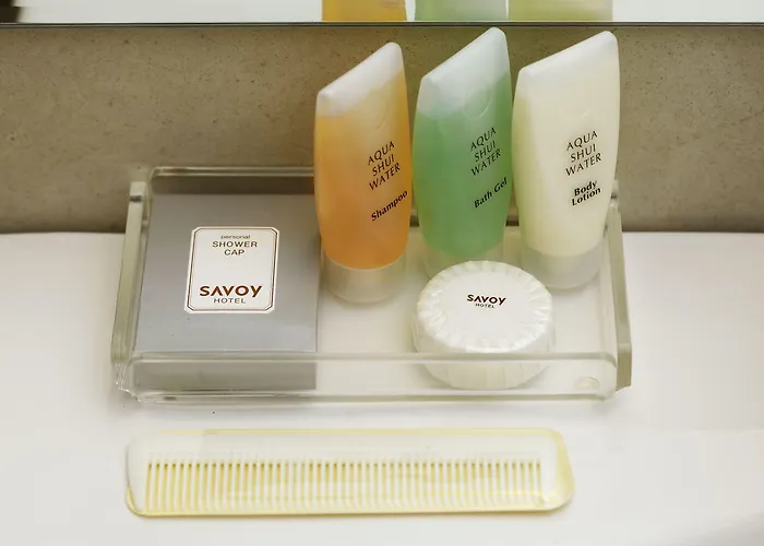 Savoy Myeongdong Seul